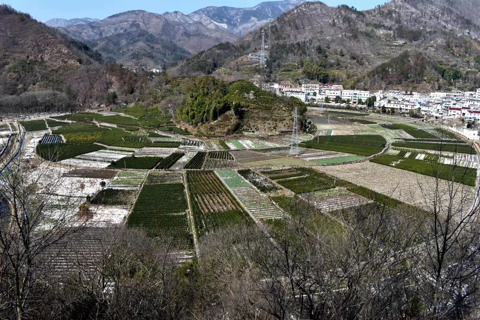 安徽桐城市唐湾镇精准发力奋力打造乡村振兴样板点