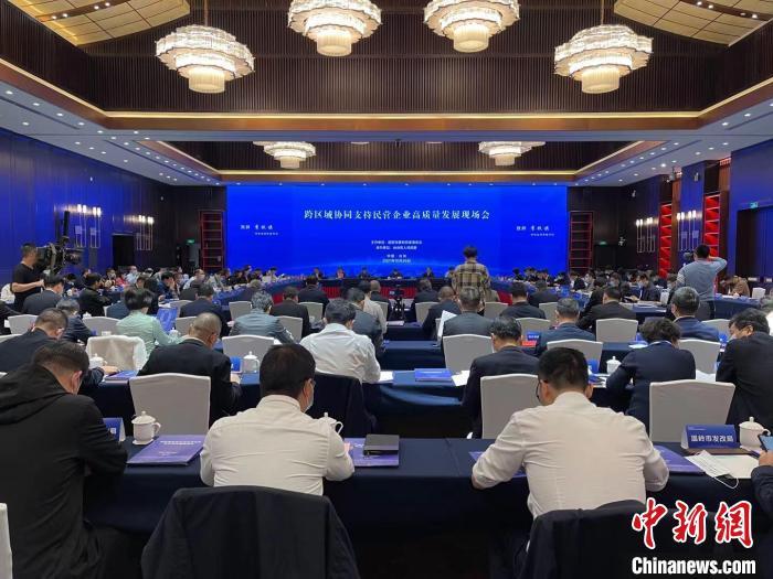 浙江台州：跨区域协同支持民营企业高质量发展