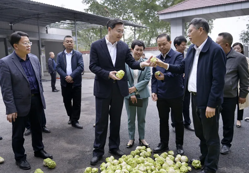 涪陵区委书记王志杰调研群胜农榨菜股份合作社