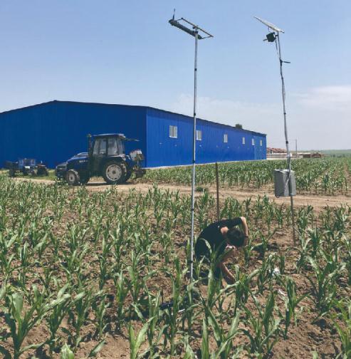 玉米叶面积指数实时测量。 (本组图片由吉林高分遥感应用研究院提供)