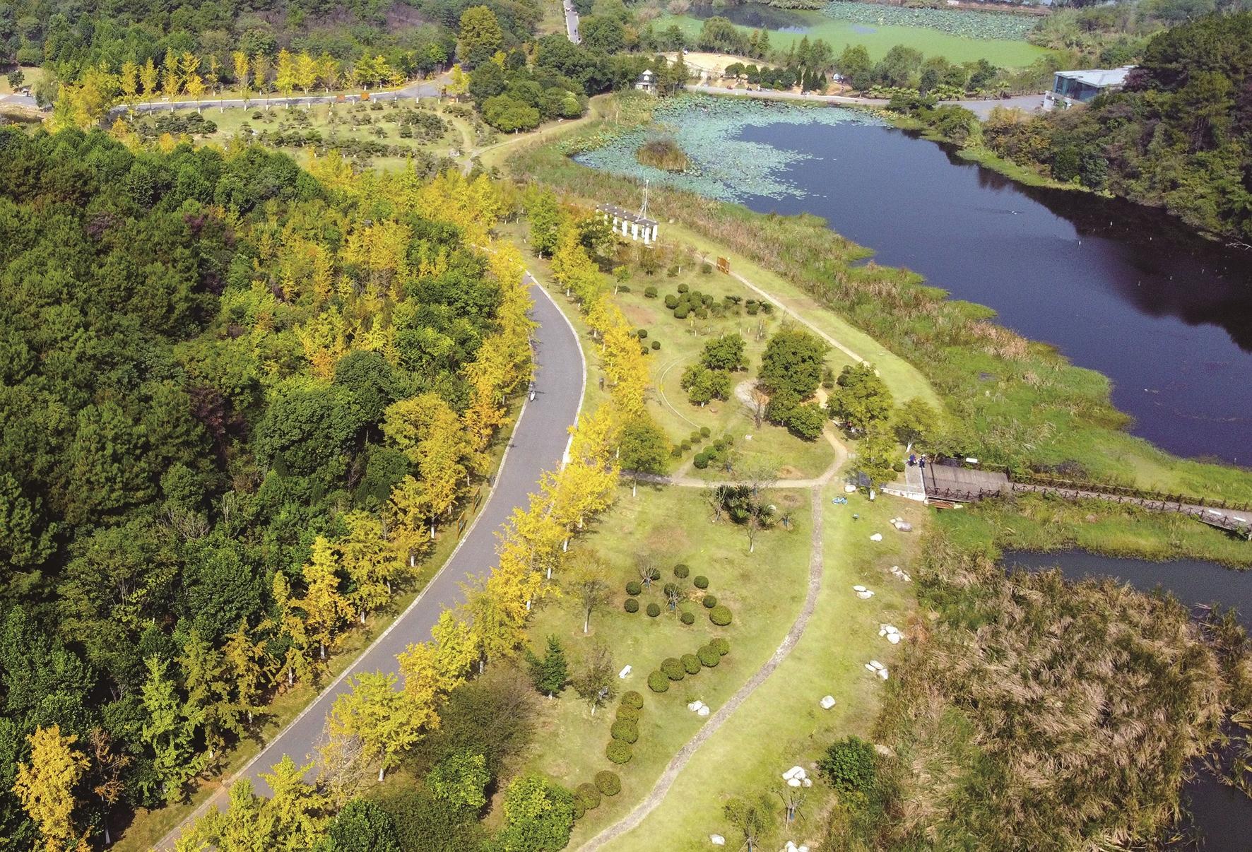 藏龍島國家溼地公園層林盡染