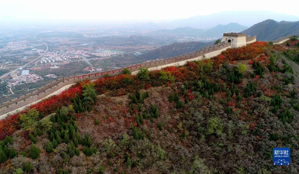 西部长青景区图片