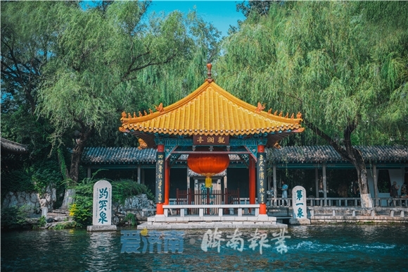 济南日报 梁大磊 摄