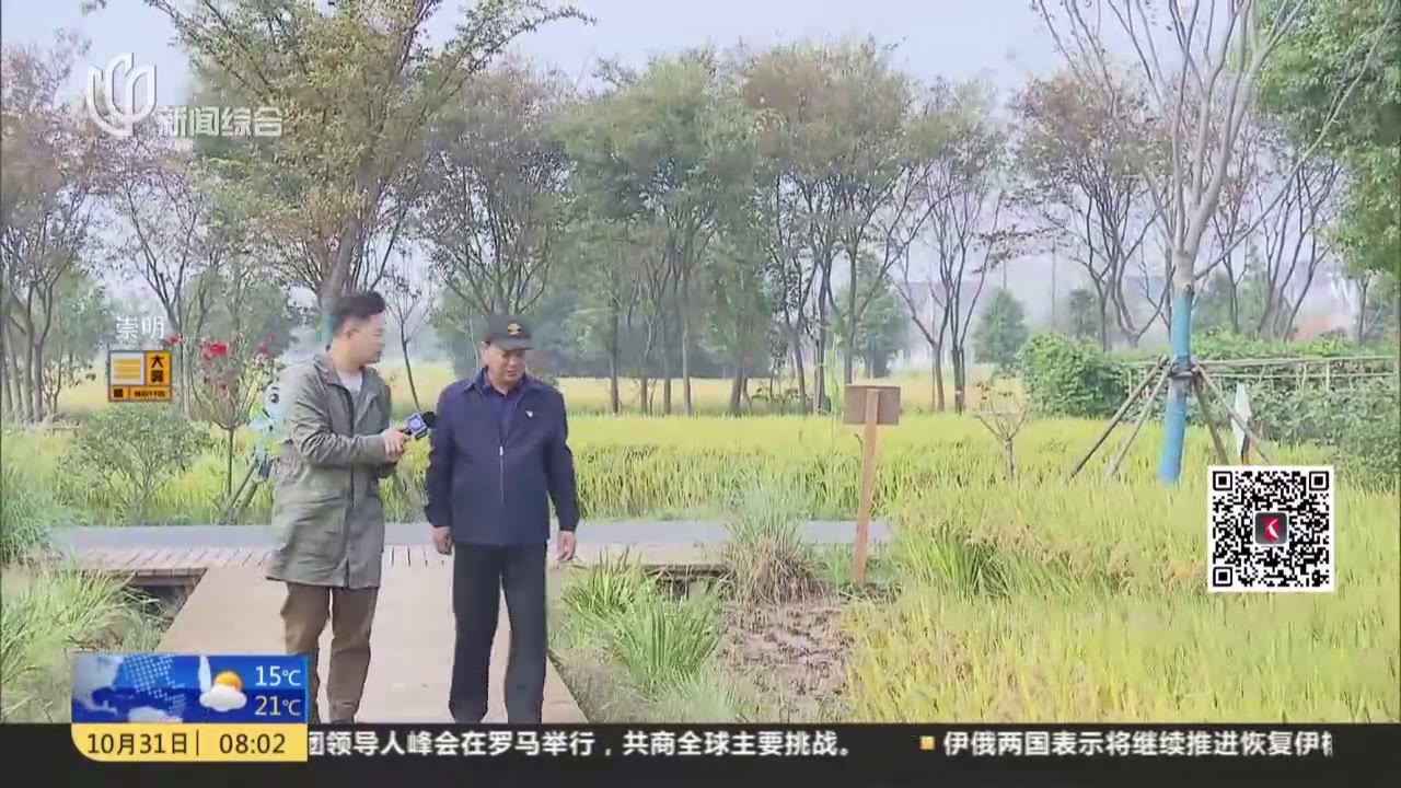崇明新村乡 同心奔小康：培新育优融合发展农旅产业  稻米之乡拓宽致富路
