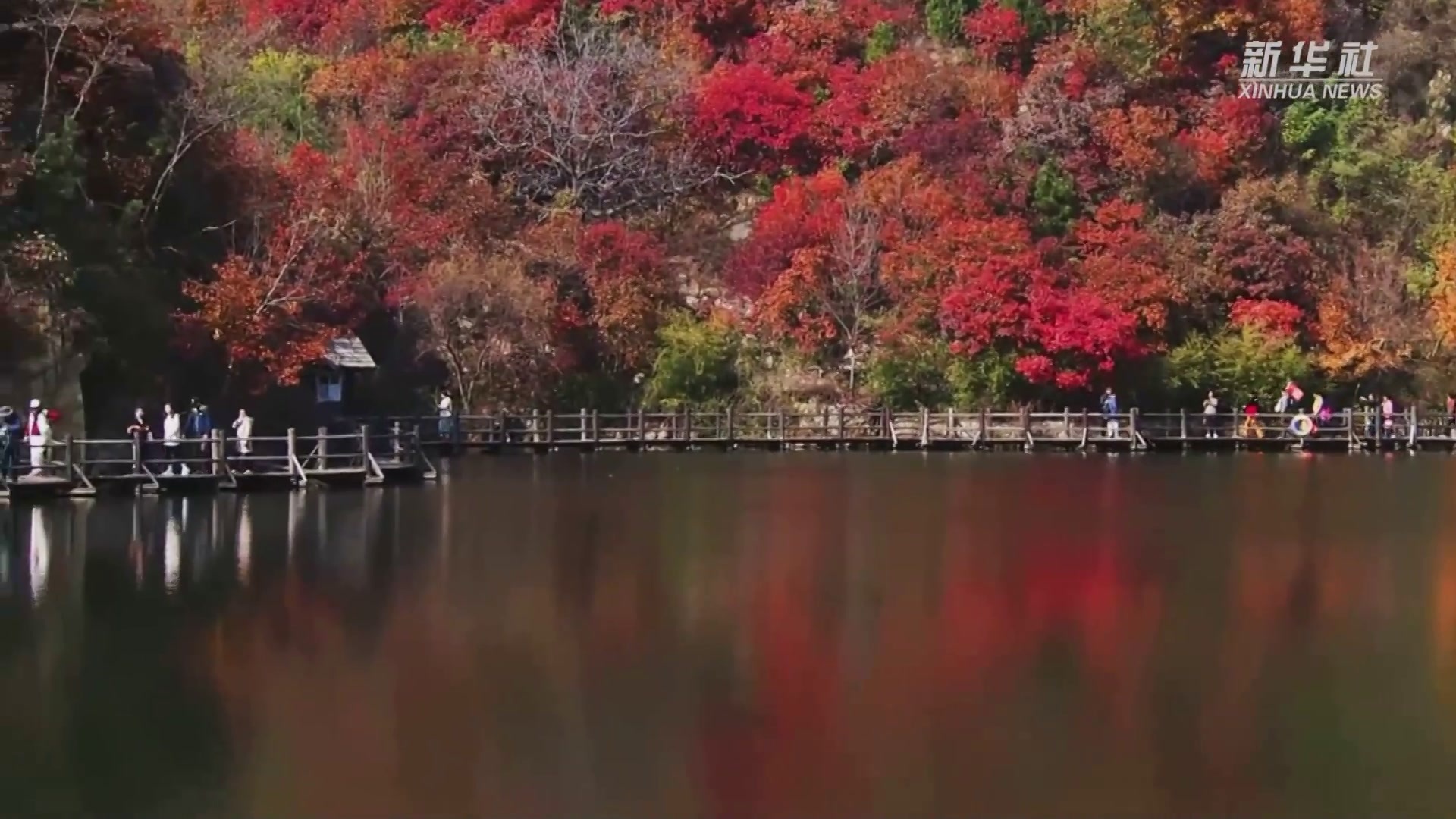 秋霜初染满山红