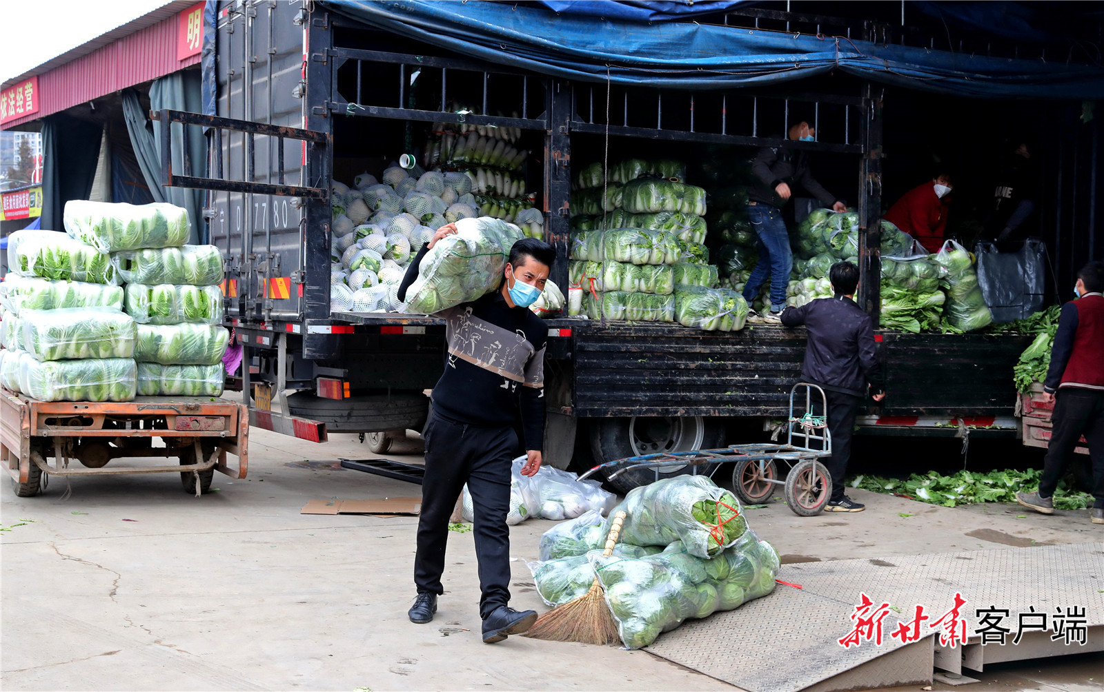 郑州蔬菜批发市场图片