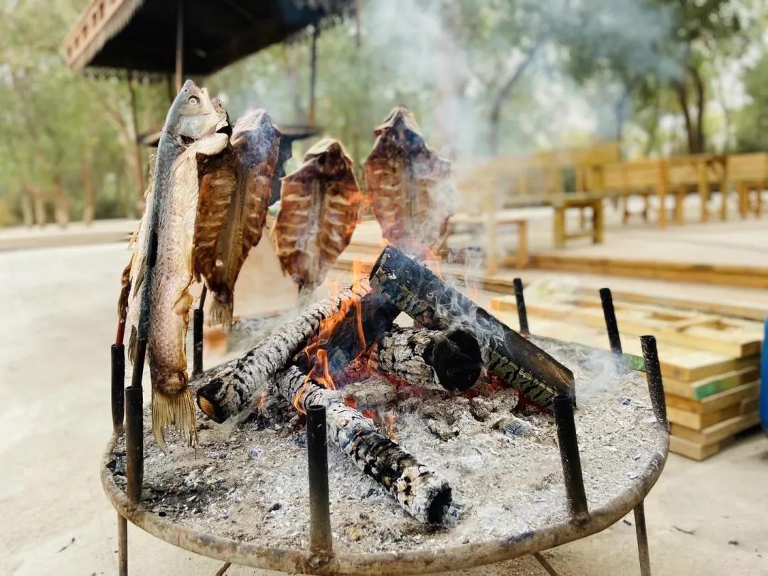 “丝路风情，醉美喀什”《喀什日志》之刀郎画乡、N39沙漠、泽普金湖杨