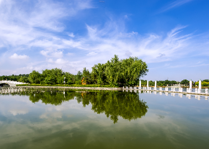 河北辛集市积极融入新发展格局谱写高质量发展新篇章