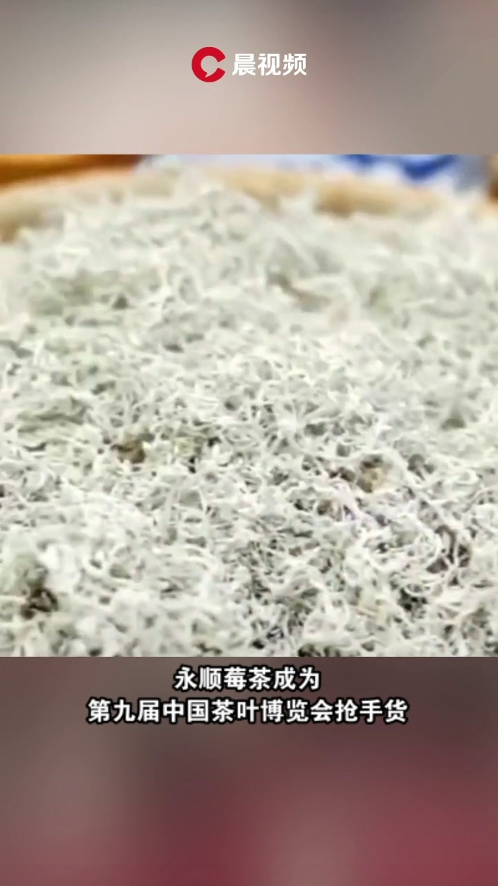 抢手货！揭秘备受追捧的冰箱贴背后的主创团队