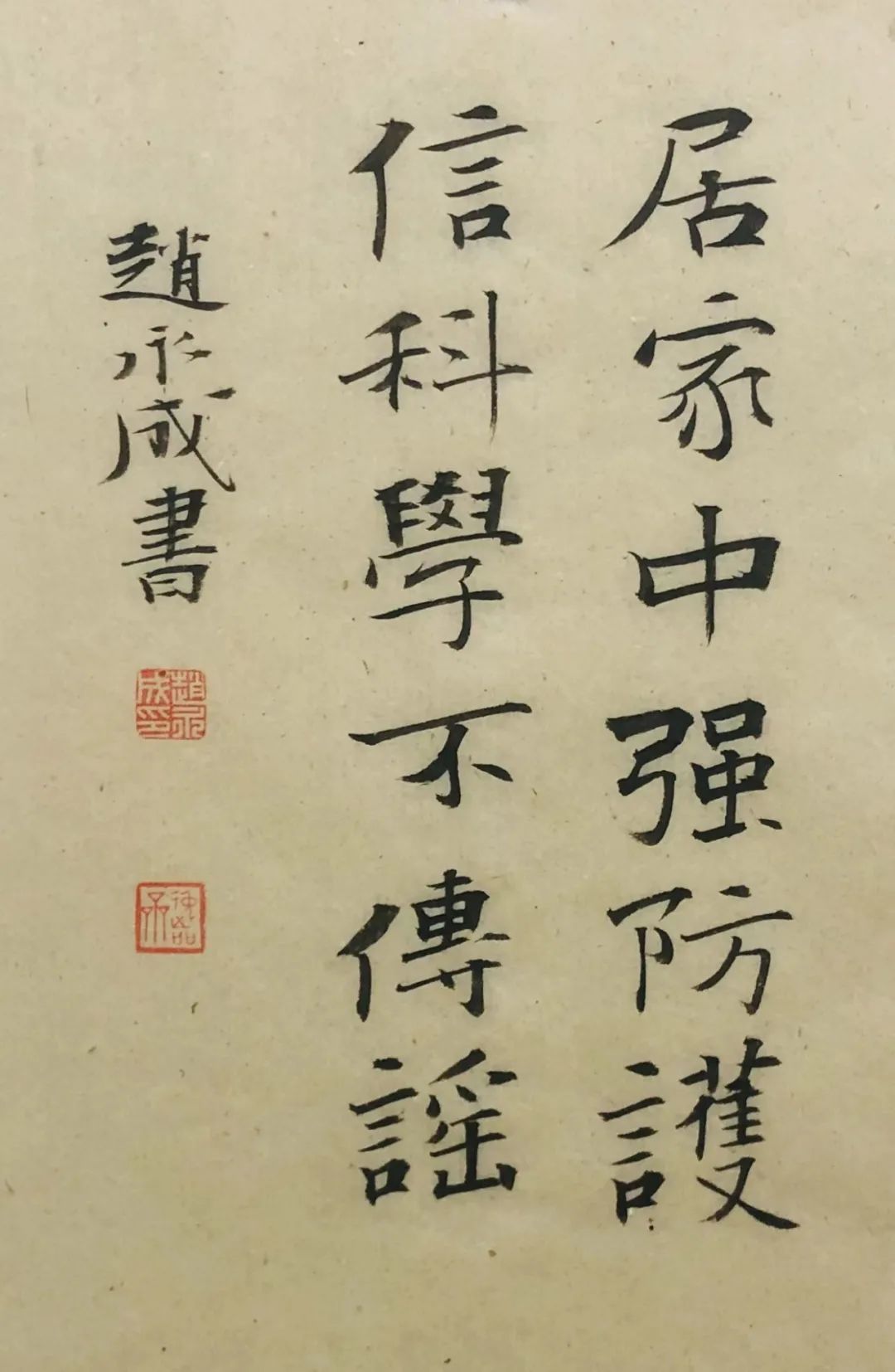 书法《居家中强防护 信科学不传谣》赵永成