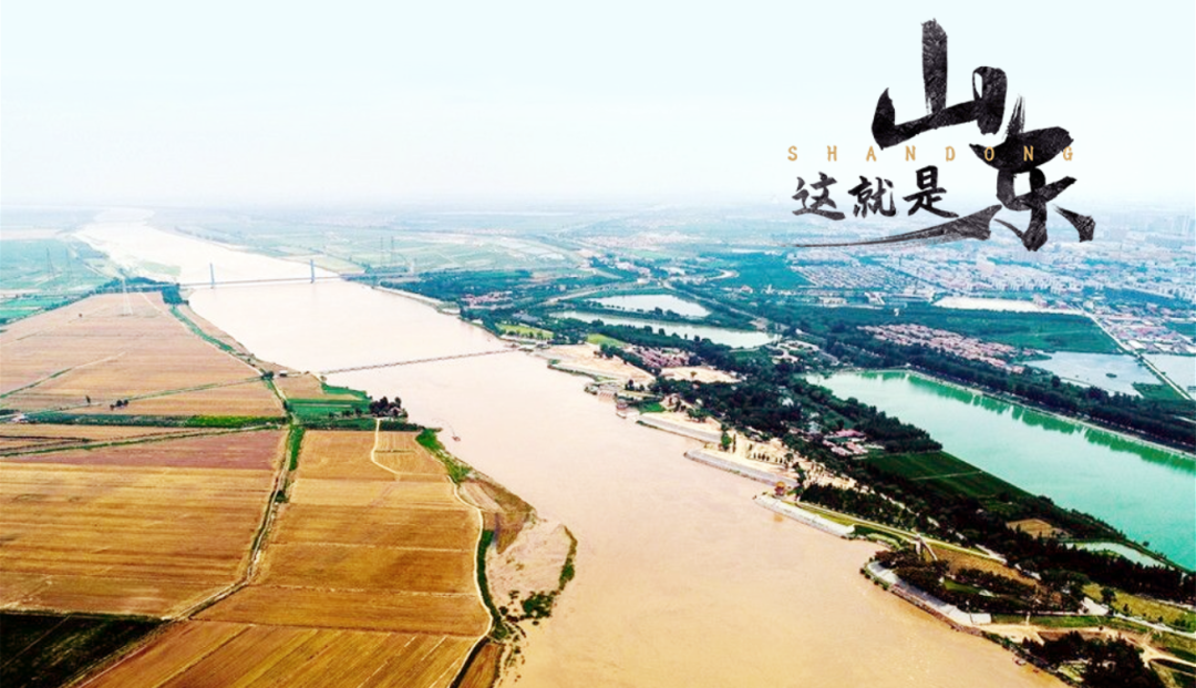 区县Feng观察丨大河向东流，奏响山东县域的“黄河大合唱”