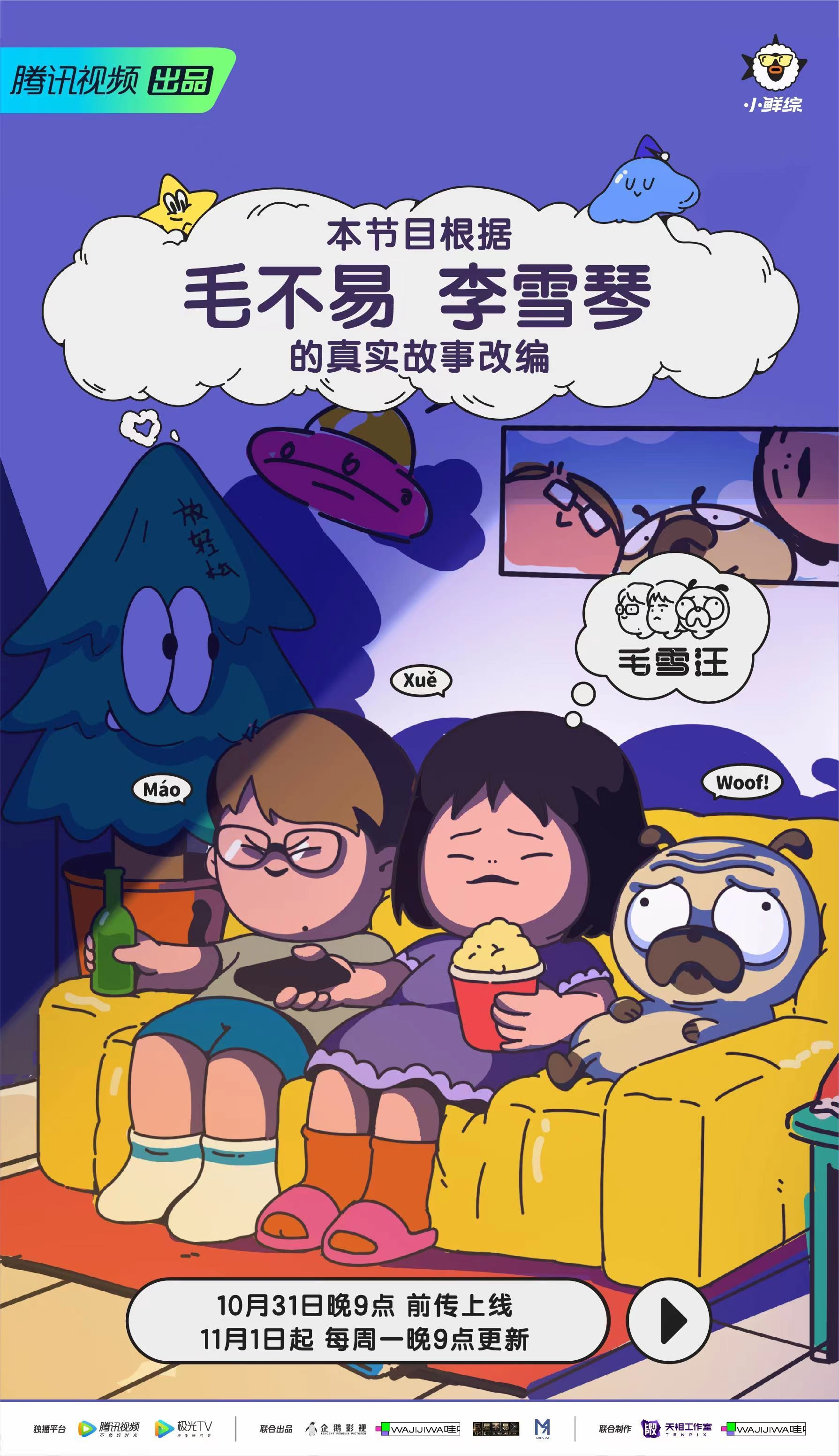 《毛雪汪》海报