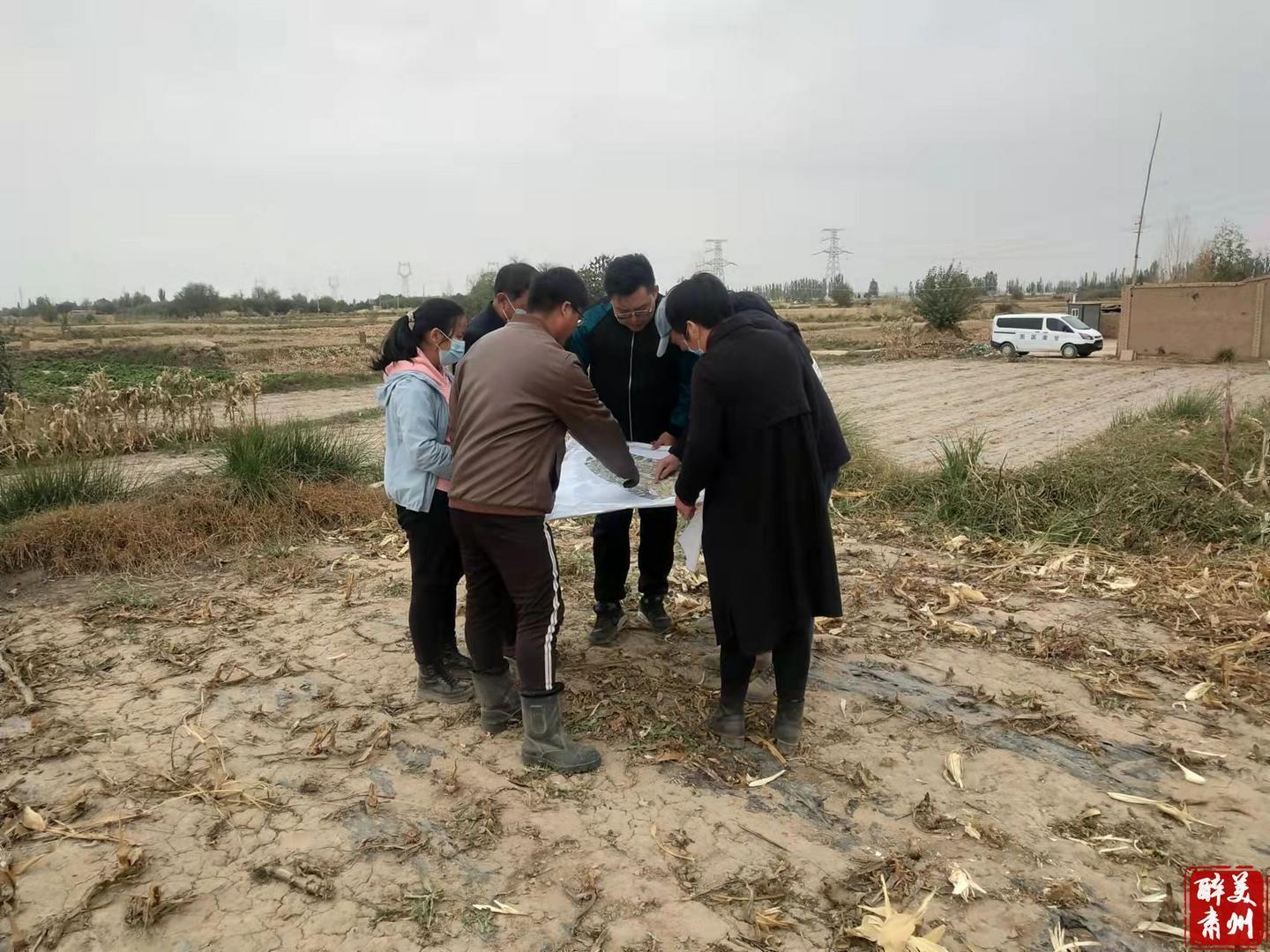 肃州总寨镇：疫情防控不放松 高标准农田建设"加速跑"