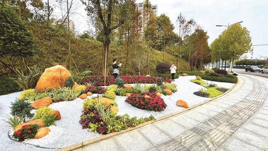 提质改造后的星沙大道与高家坡路西北角“口袋公园”,成了不少周边居民休闲散步的好去处。盛磊 摄