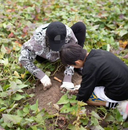 孙俪邓超带等等小花挖红薯一家四口互动好有爱