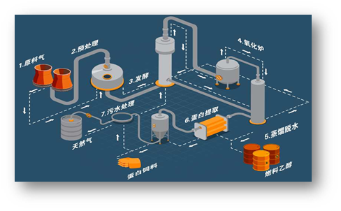 乙醇梭菌蛋白生产工艺流程。中国农科院供图