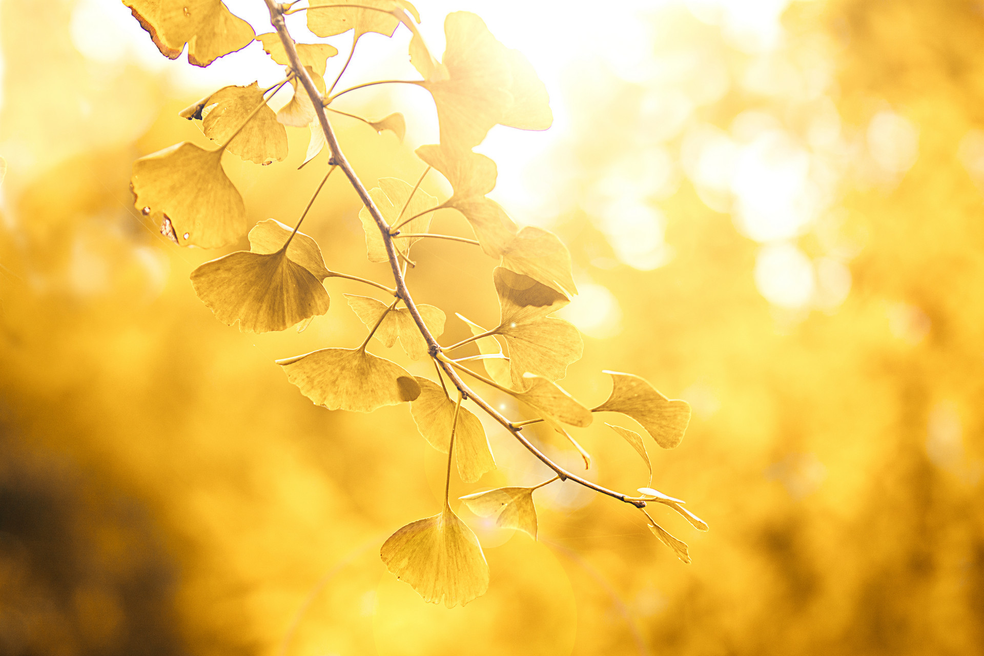 1000多年的青岛“老网红”，要变美了！