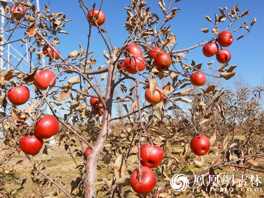 辽源紧抓乡村旅游发展机遇助推乡村振兴
