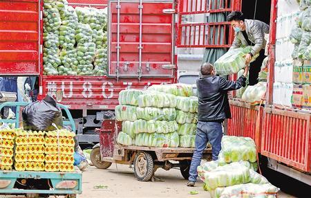 11月5日，天水市蔬菜批发市场，价格平稳，采购有序。新甘肃·甘肃日报记者 髙 樯