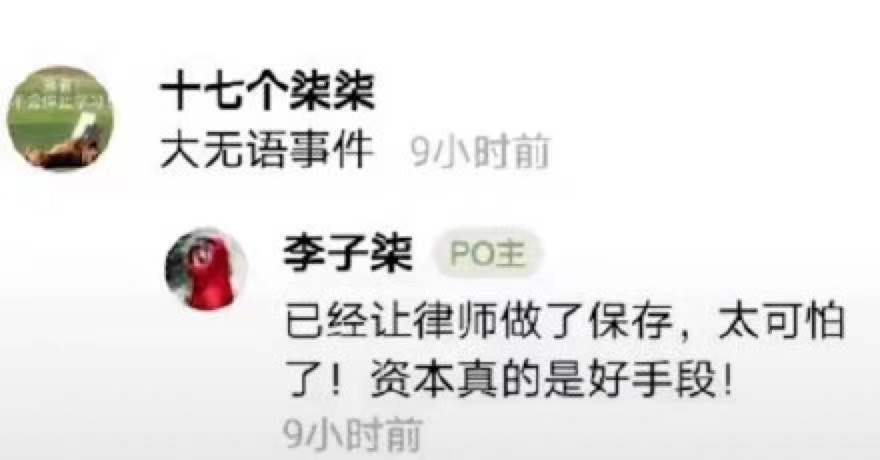 （图：8月30日，李子柒在社交平台发布了在警局报案的动态后，随后又在评论区留言）