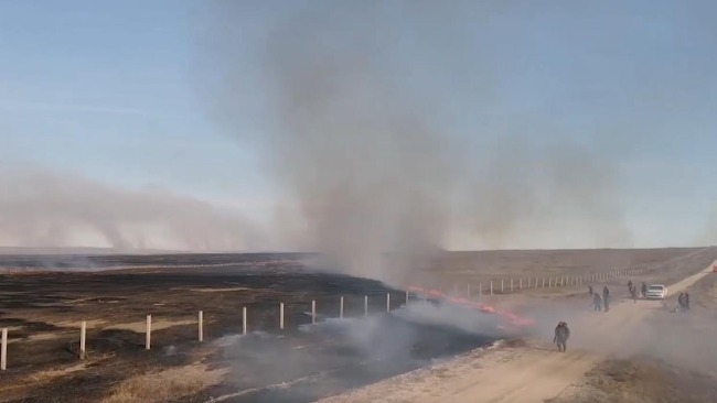 蒙古国火势向境内蔓延 中国警方紧急出动扑灭9.2公里大火