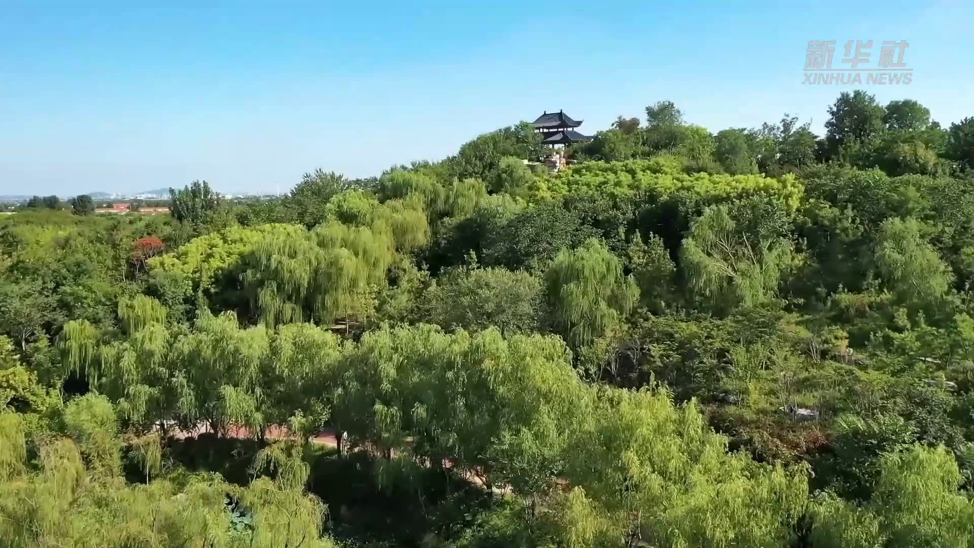 千城胜景初秋桓台满目皆是美景