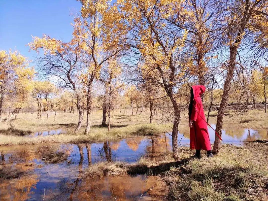 “丝路风情，醉美喀什”《喀什日志》之刀郎画乡、N39沙漠、泽普金湖杨