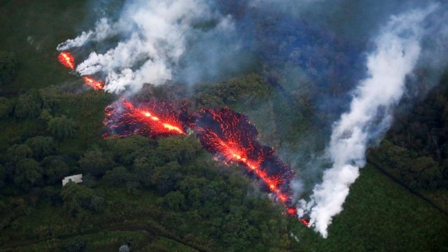 澳大利亚大火连烧6个月近30亿只动物死亡