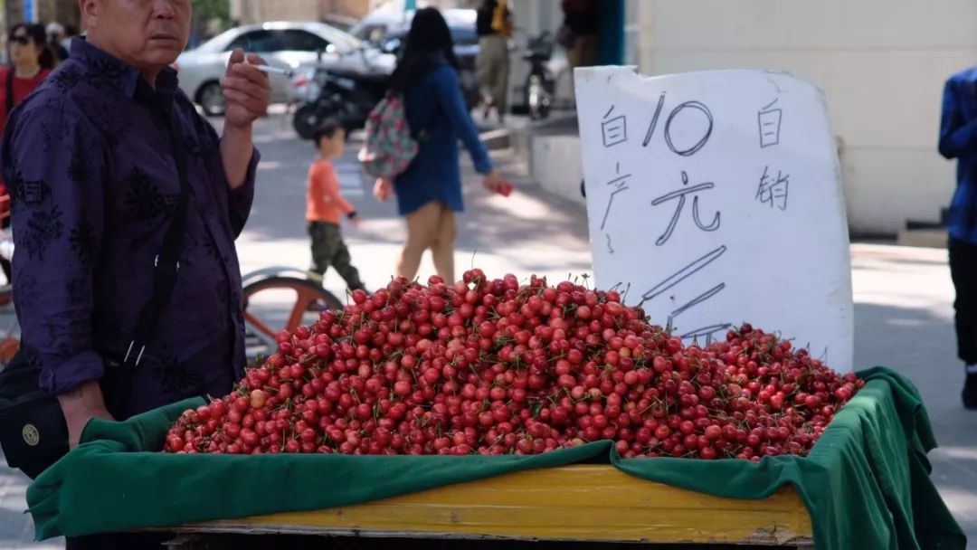 大静 摄