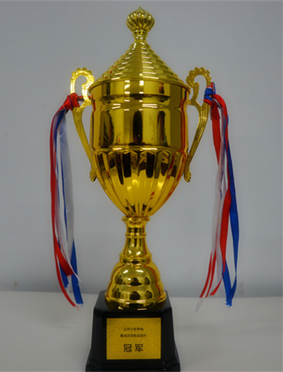 炫彩“十个一”，舞动新时代：平度经济开发区高级中学在全国啦啦操比赛中再夺冠军