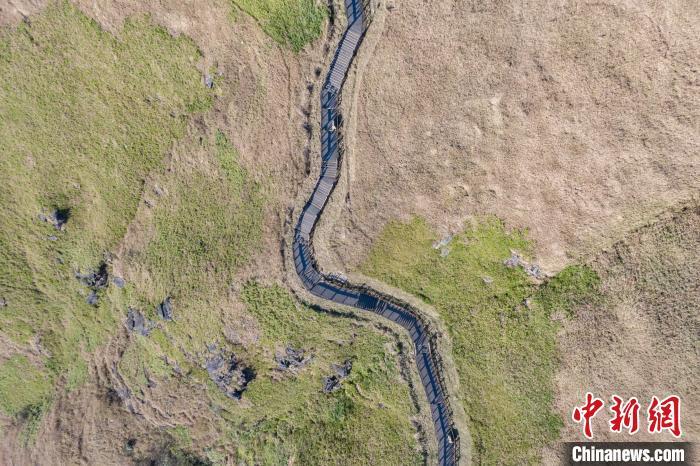 登山道穿行在高山草甸上。　刘力鑫 摄