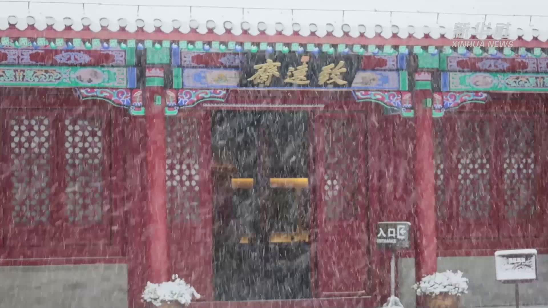 雪缀红叶 京城公园美景如诗如画