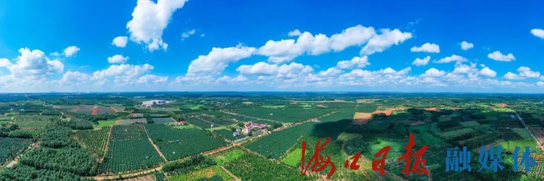 11月6日，俯瞰位于琼山区三门坡镇红明农场14队的海南荔海共享农庄全貌。