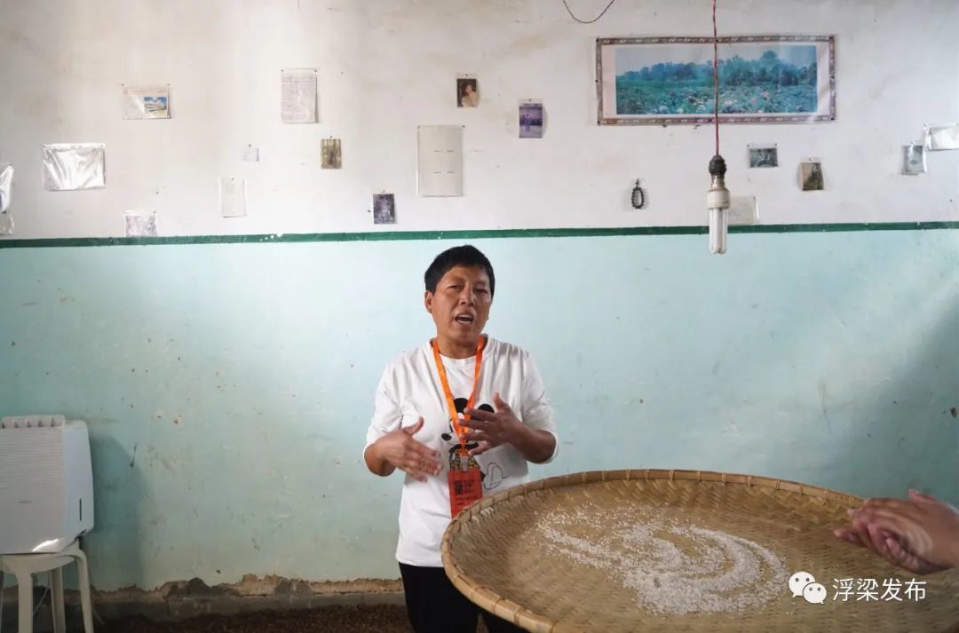 景德镇浮梁县：创新村民当解说员 解说当代艺术