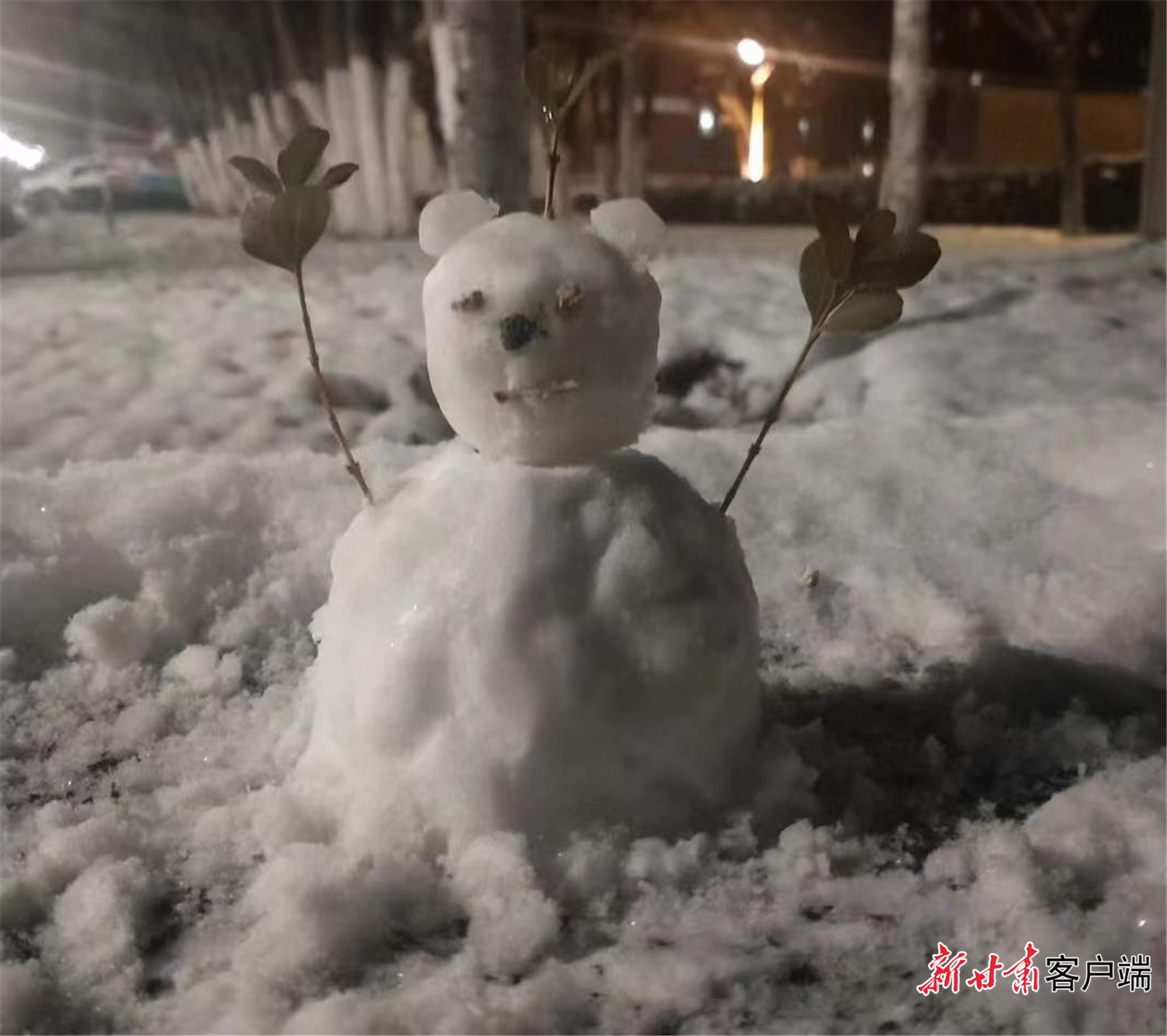 兰州某小区雪夜景