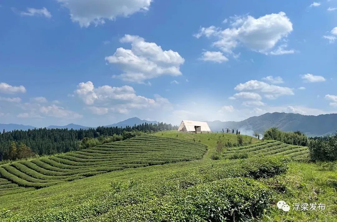 景德镇浮梁县：创新村民当解说员 解说当代艺术