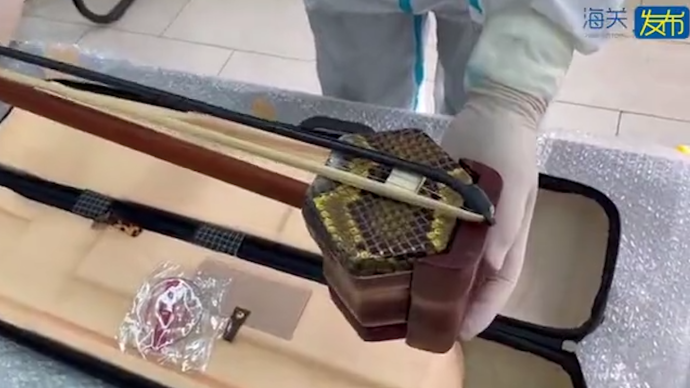 上海海关依法暂扣一把二胡其琴鼓蒙皮由缅甸蟒皮革制成