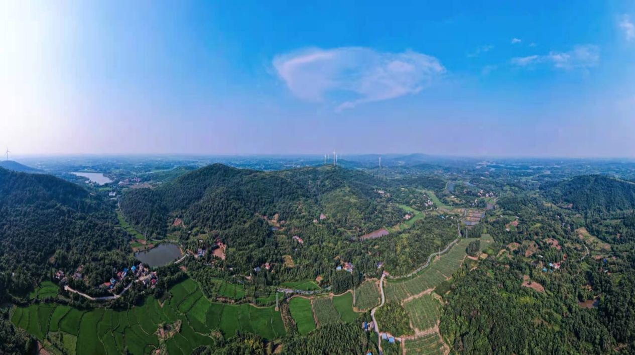 安徽肥西铭传乡青年人才成乡村振兴领头雁