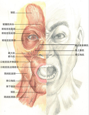 西安国际医学中心整形医院副院长王志军做客fm1043谈面瘫防治