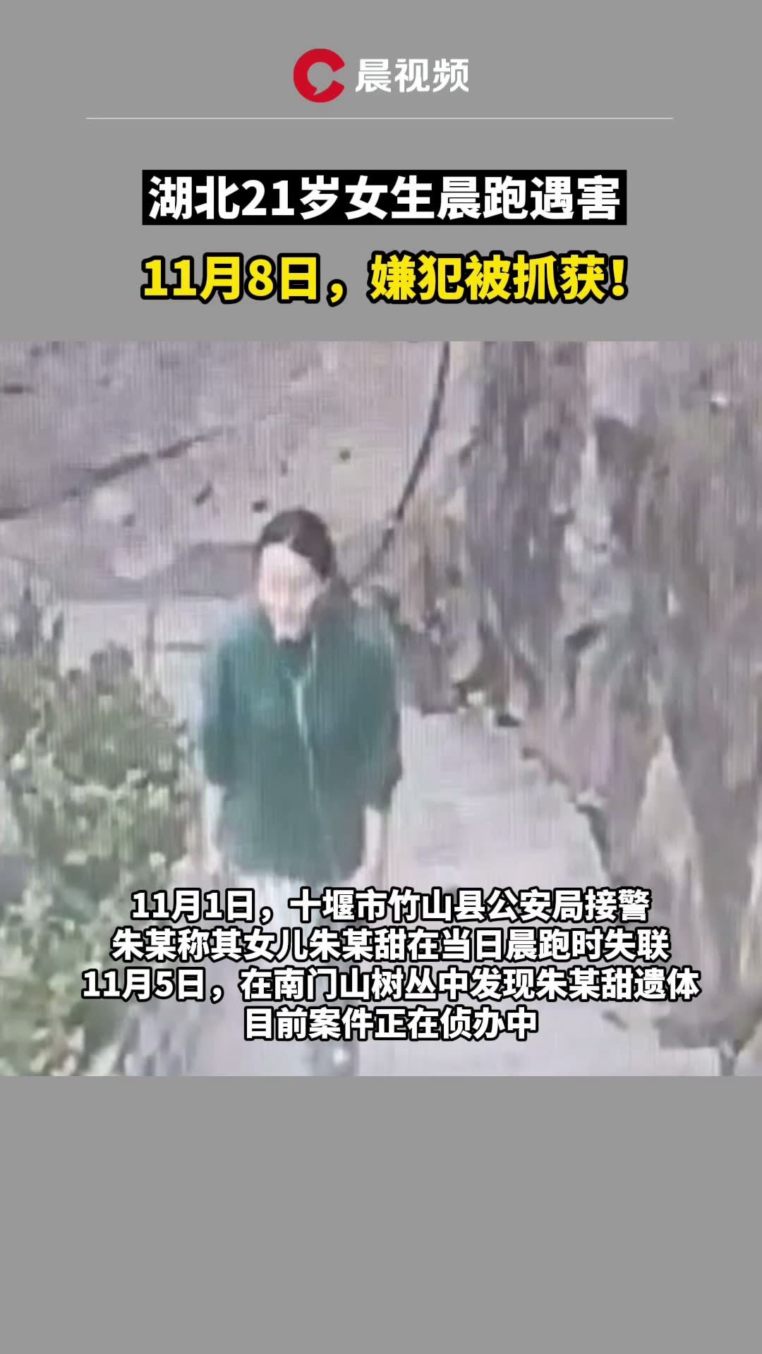 湖北女孩晨跑遇害 嫌犯已被抓获 警方通报-中国网