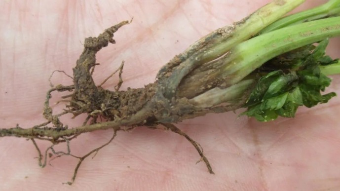 7438FE9C55ABEE30219CF057A51BD8