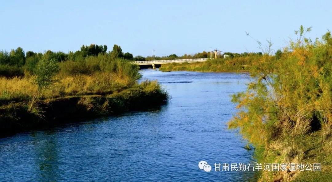 雲遊武威走進民勤石羊河大景區