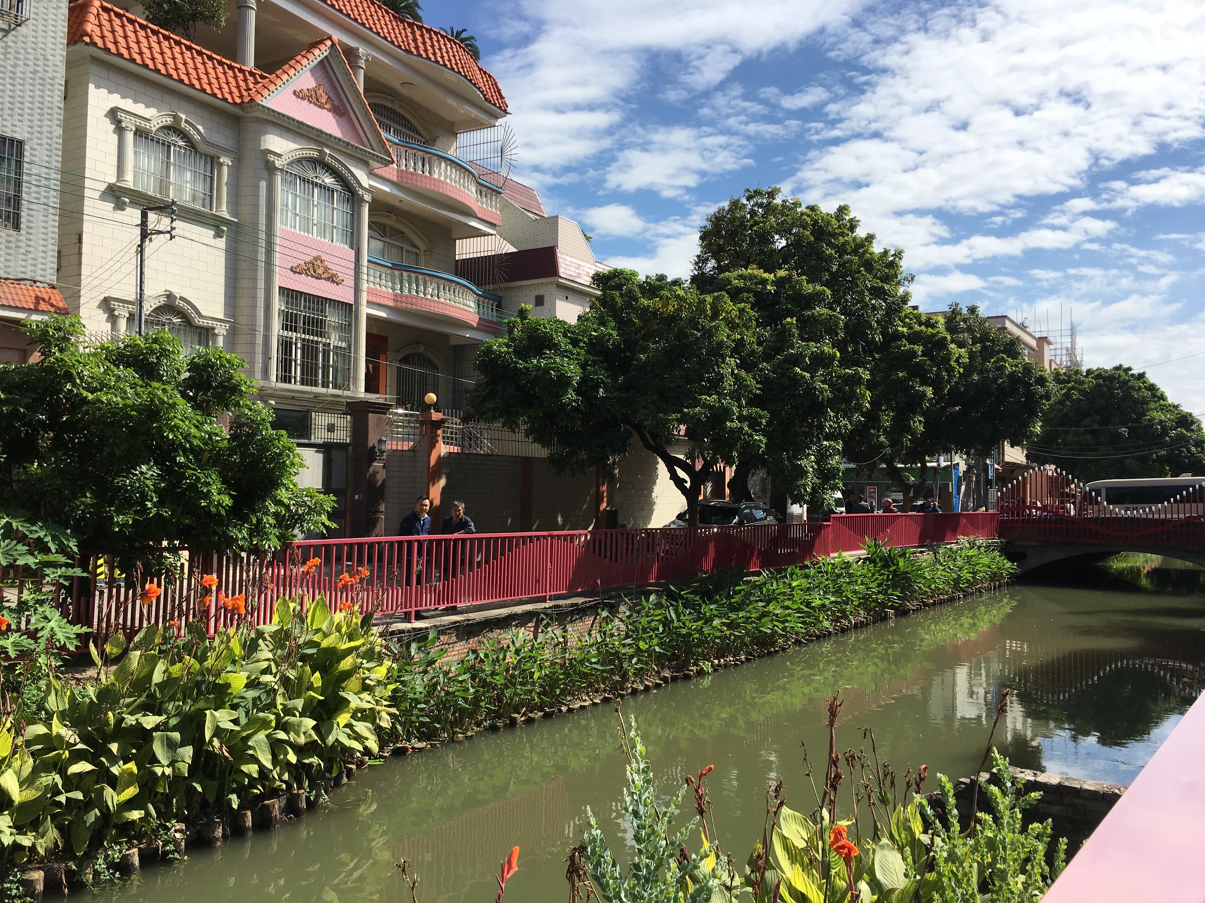 华口天九涌是连通眉蕉河和大岑沥的一条村级河涌,全长1.