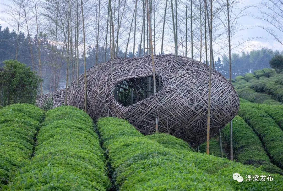 景德镇浮梁县：创新村民当解说员 解说当代艺术