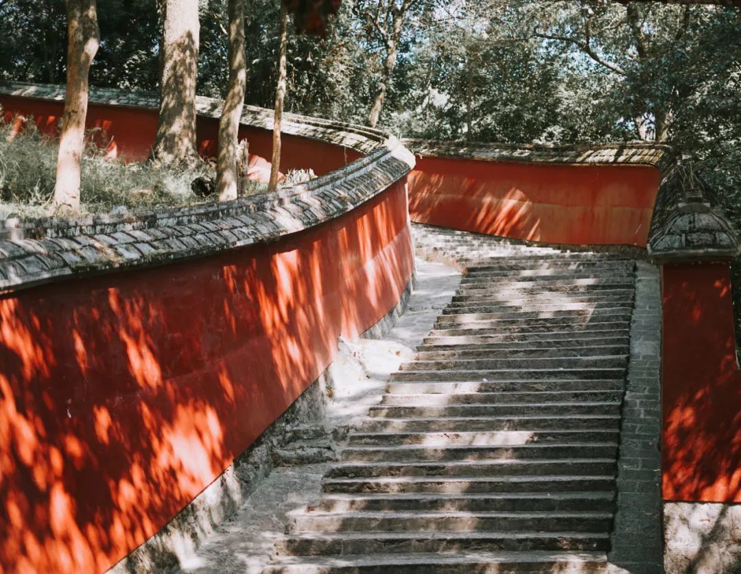 @图虫创意
