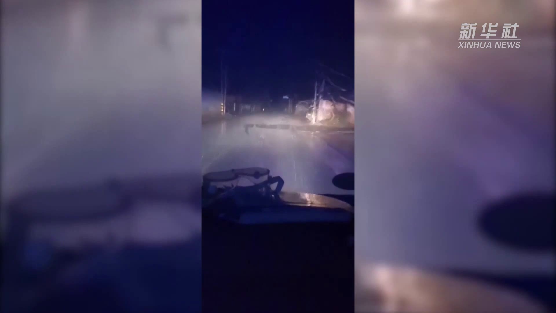 新华全媒+｜逆行出征 昼夜奋战——金国英的“战疫日记”