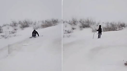 8头牛在暴雪中走丢 主人冒雪找一天一夜才找到：全部家当