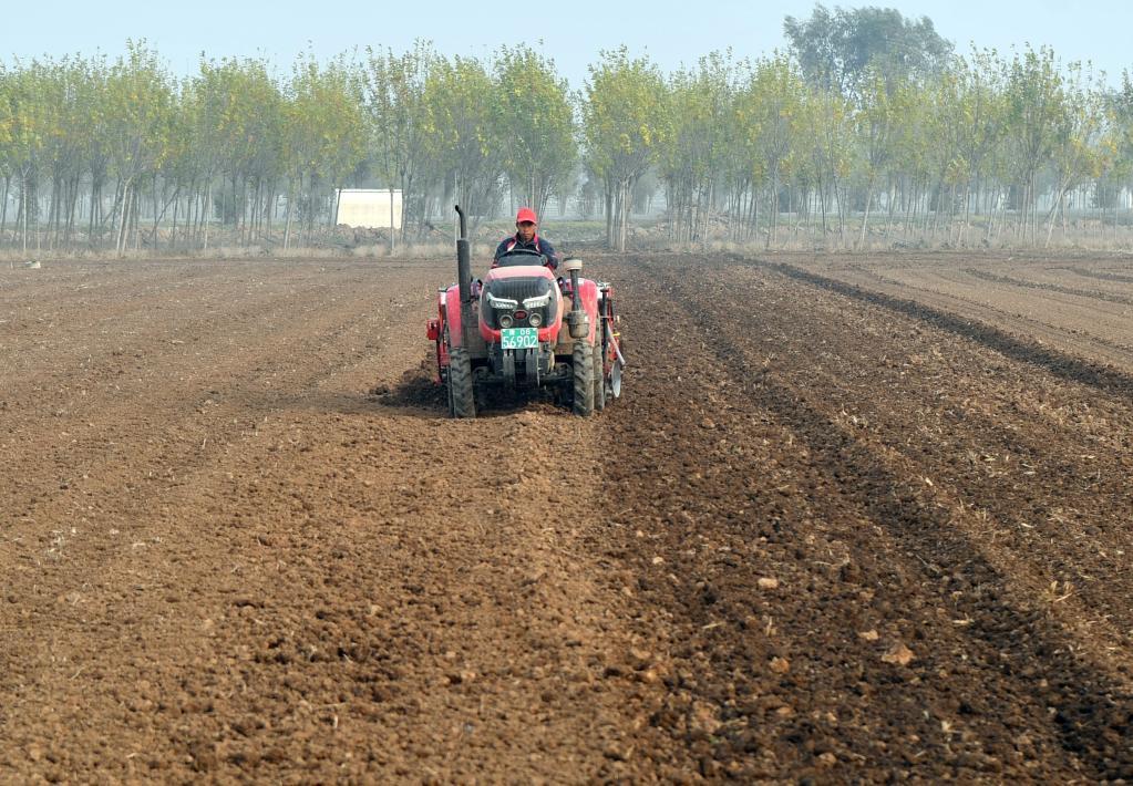 11月2日,河南浚县30万亩高标准农田示范方内,农民在播种小麦