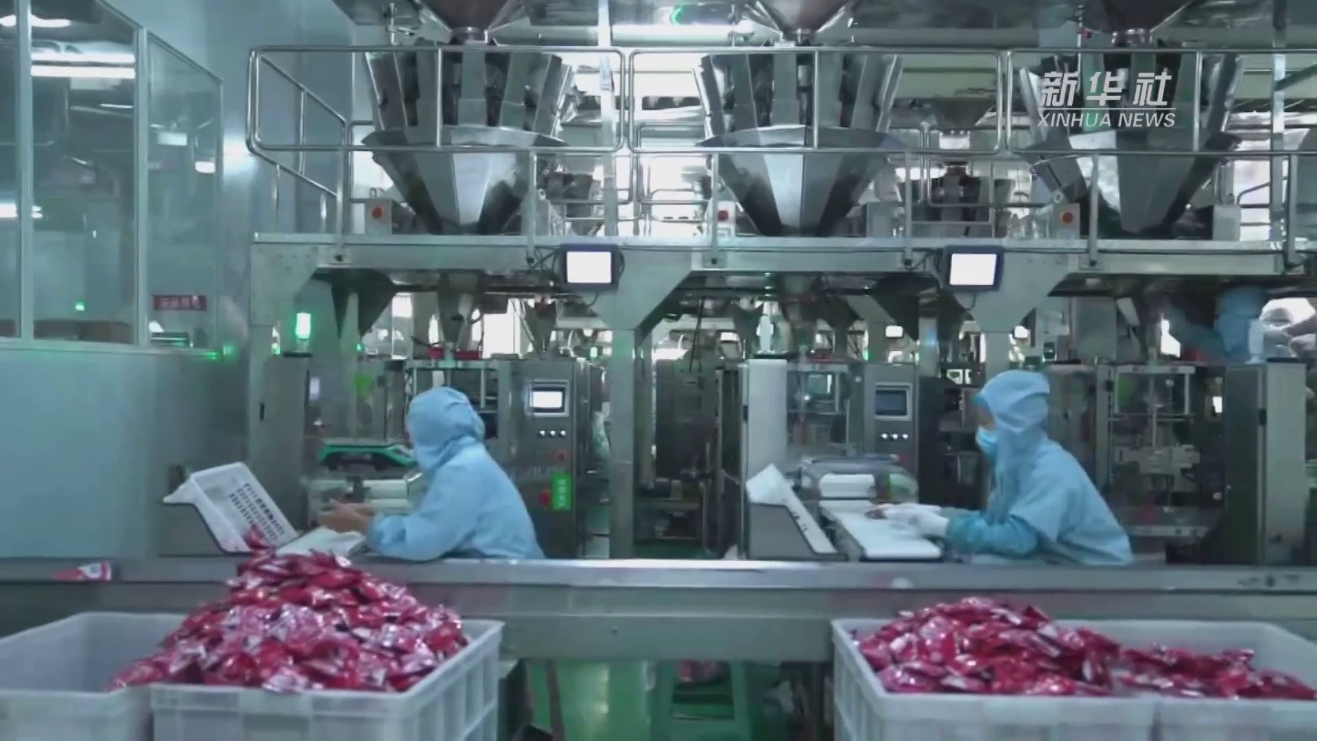 河北黄骅：延伸产业链条做强冬枣产业