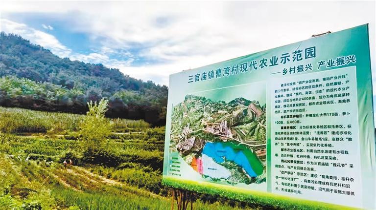 曹湾村农业示范园。